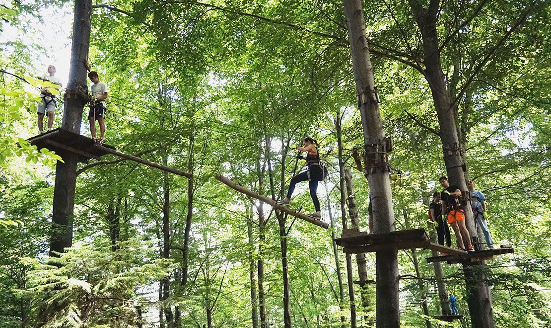 People navigate an aerial rope course high among green trees in a sunlit forest.
